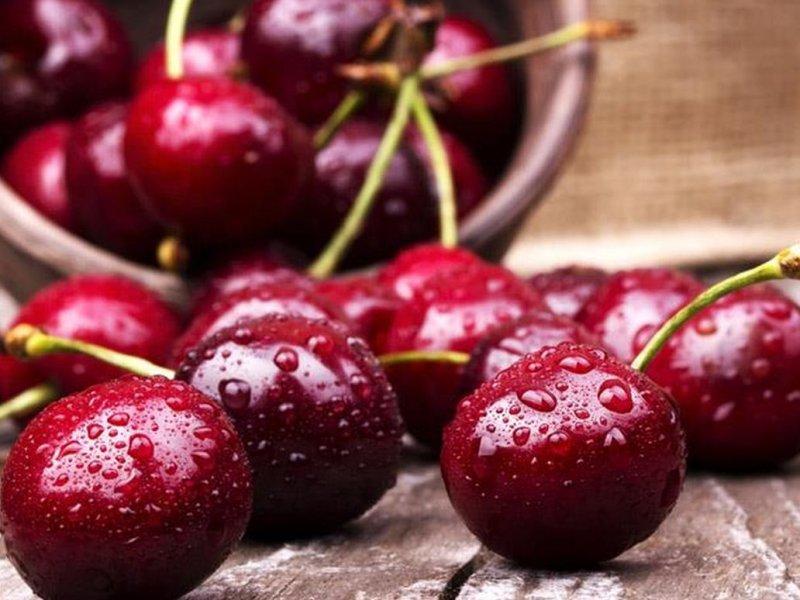 Вишня купить саженцы из питомника в Домодедово